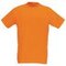 WD T-Shirt orange, brust